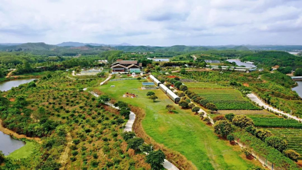 每天在花园办公！鹤山最美香草小镇招人啦！